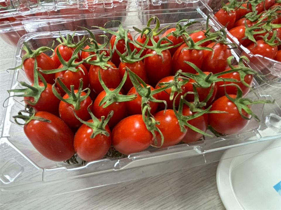 圖片來源：彰化縣政府