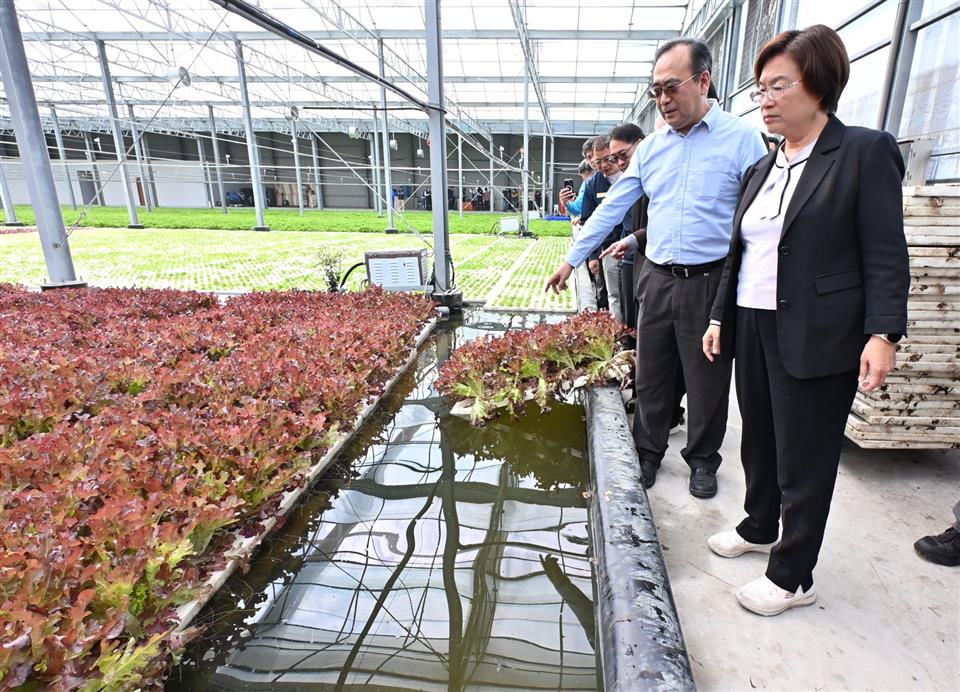 縮圖：02水耕蔬菜巡禮