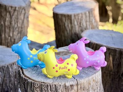 2/14一起為Rody慶生！「2026彰化月影燈季」生日派對壽星與跳跳馬熱情募集