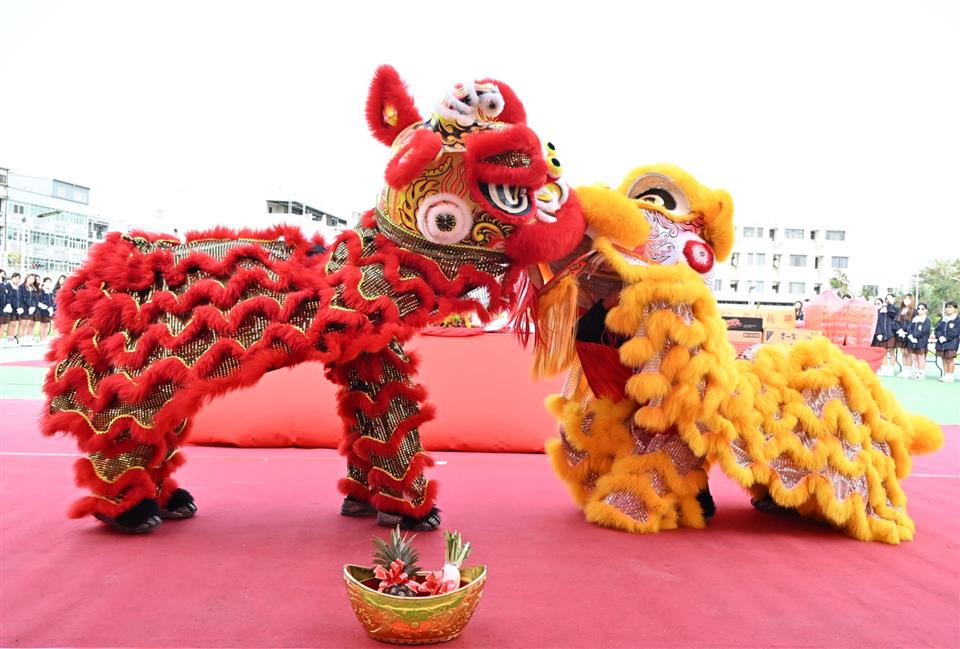 縮圖：13舞獅表演